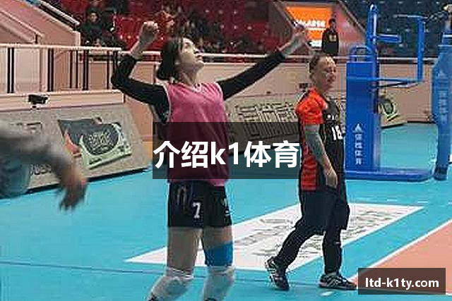 介绍k1体育